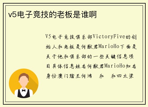 v5电子竞技的老板是谁啊