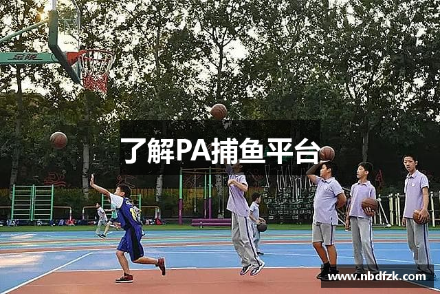了解PA捕鱼平台